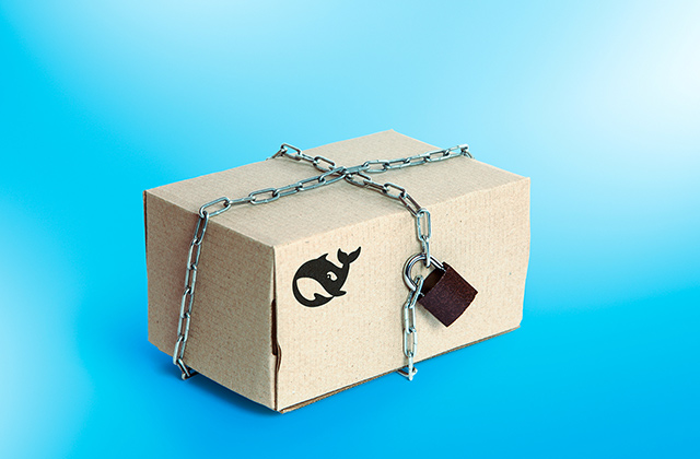 دیپ‌سیک: تنظیمات حریم خصوصی و نسخه محلی